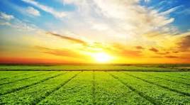 Technology & AgriTech